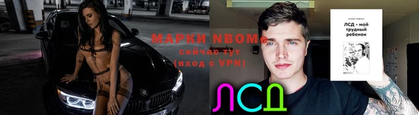 ешки Арсеньев