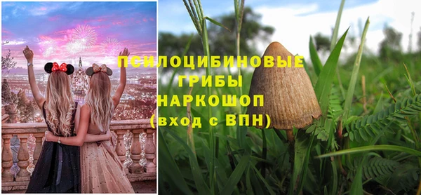 ешки Арсеньев