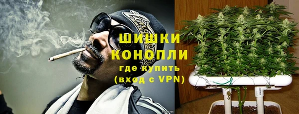 ешки Арсеньев