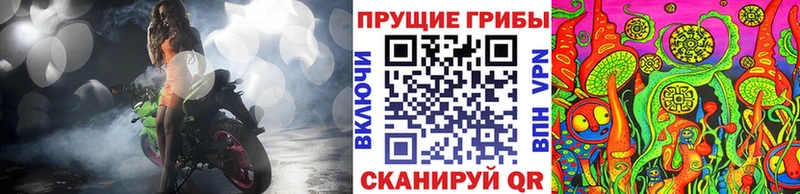 наркота  Катав-Ивановск  Псилоцибиновые грибы Psilocybine cubensis 